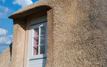 Seion thatch roof disadvantages